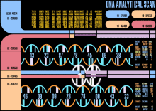 DNA Analythical Screen