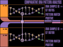 DNA Pattern Analysis