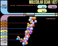 Molecular Scan