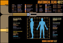 Anatomical Scan