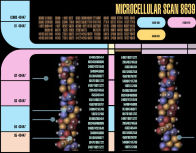 Microcellular Scan